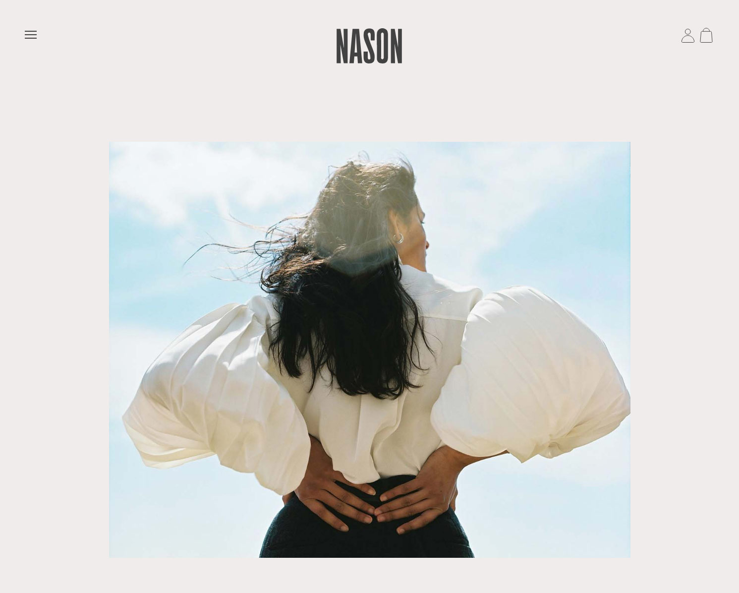 Nason – home page screenshot