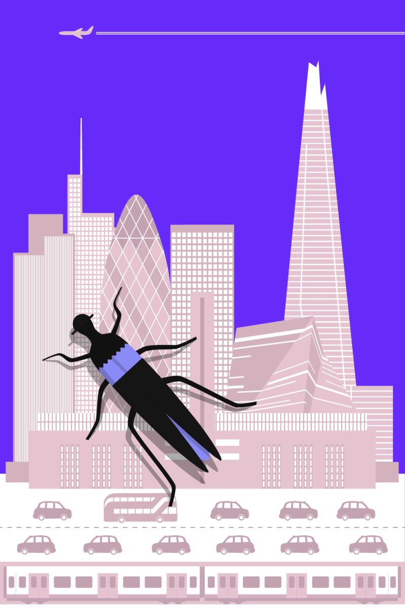 Metamorphosis (part 4) – artwork by Robert Fiszer