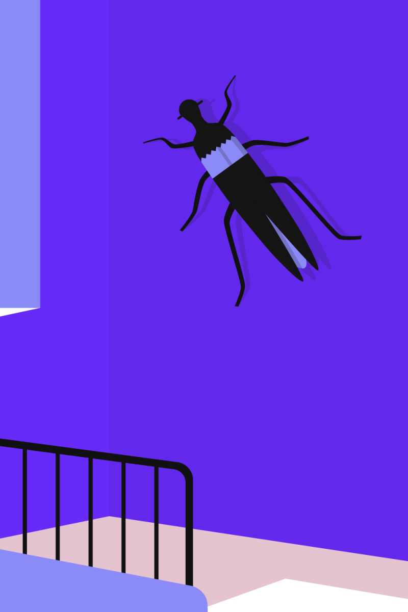 Metamorphosis (part 1) – artwork by Robert Fiszer