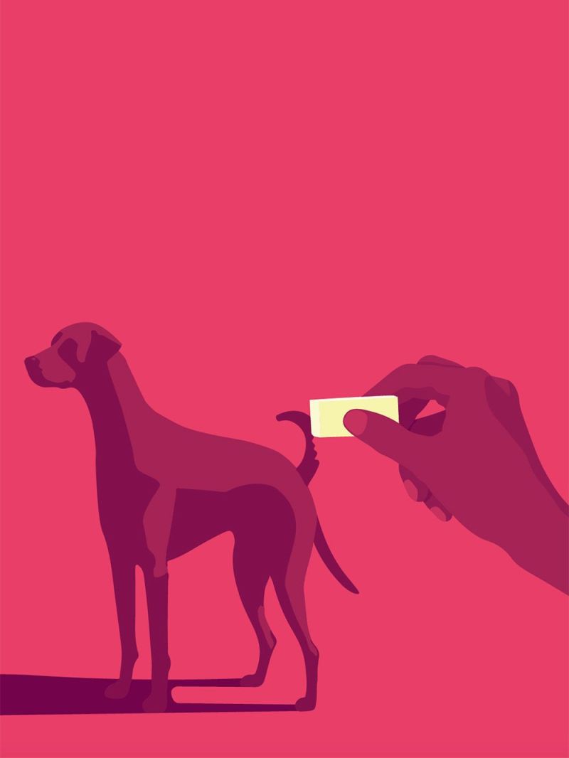 Human Interventions – illustration by Robert Fiszer