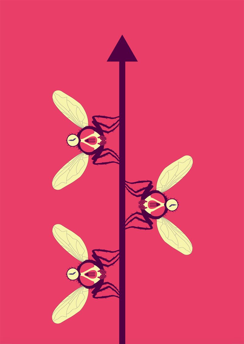 Navigating Artificial Intelligence – editorial illustration by Robert Fiszer – project cover image