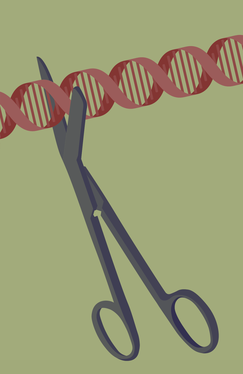 CRISPR – illustration by Robert Fiszer