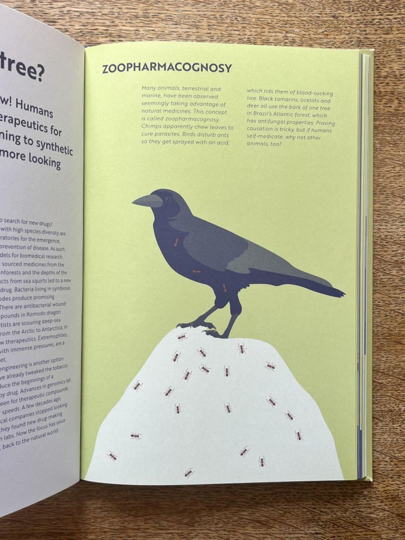 Zoopharmacognosy – illustration by Robert Fiszer