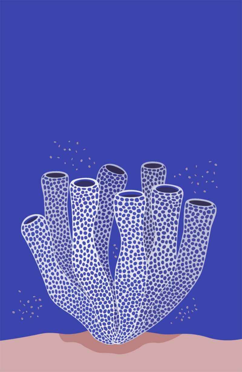 Nested Ecosystems – illustration by Robert Fiszer