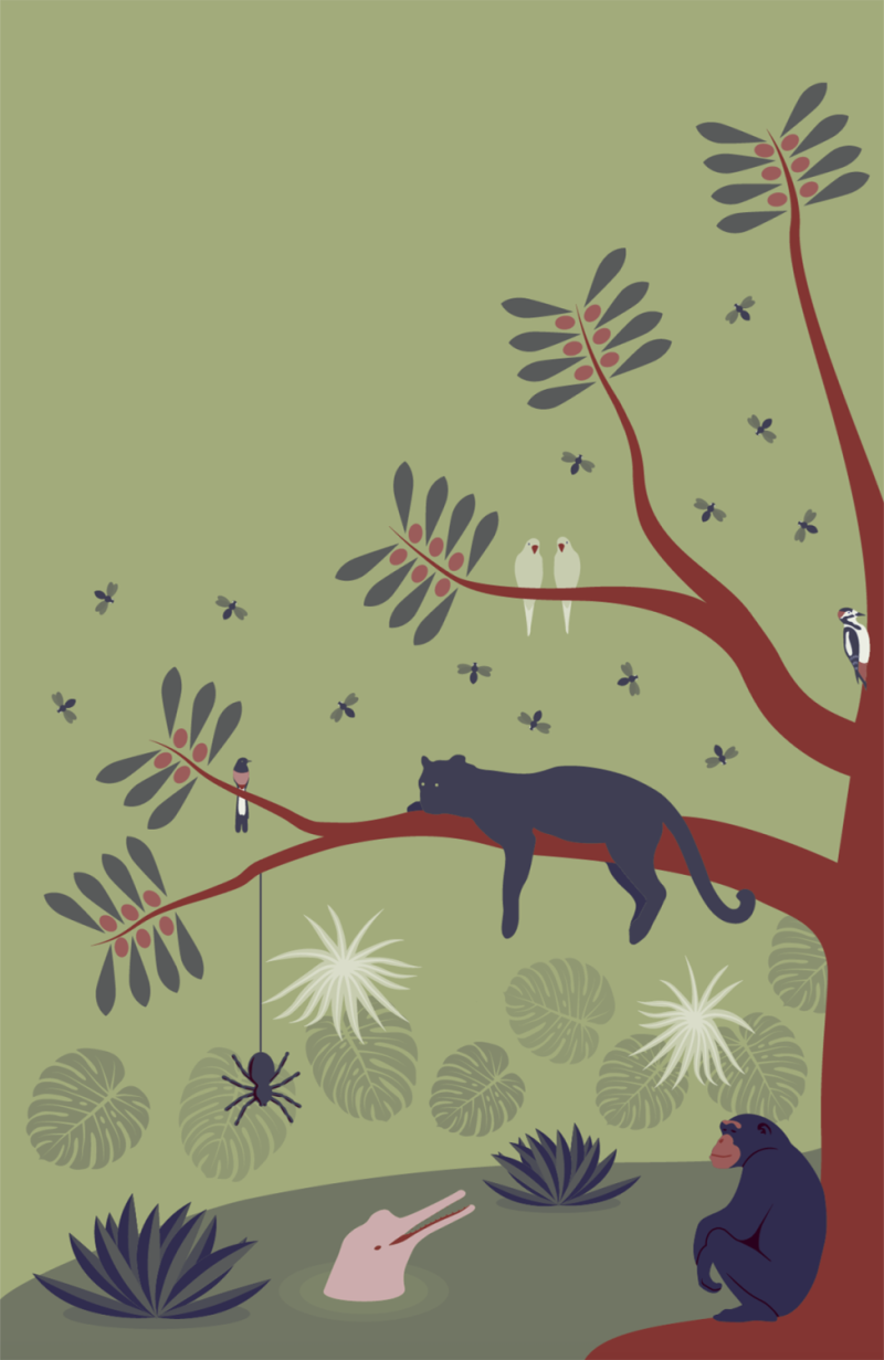 Threatened Hotspots – illustration by Robert Fiszer