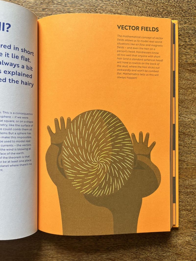 Vector Fields – illustration by Robert Fiszer