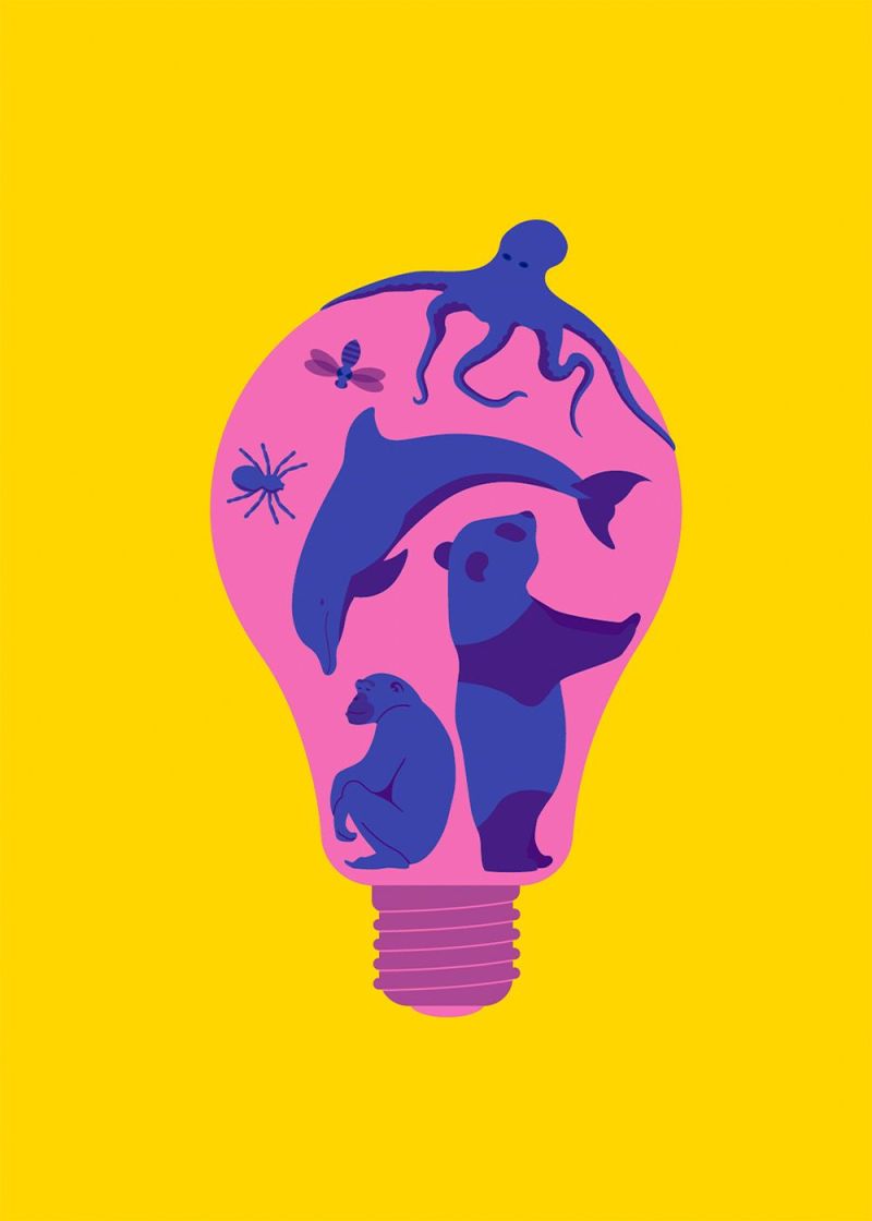 Animal Intelligence – book illustartion by Robert Fiszer